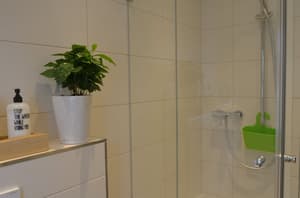 thumbnail: Bathroom shower