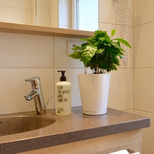 thumbnail: Bathroom sink