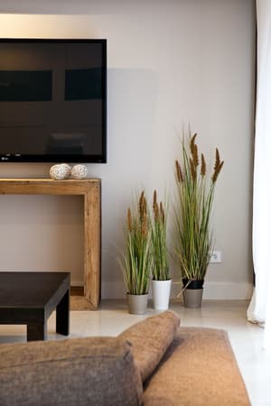 thumbnail: Living area