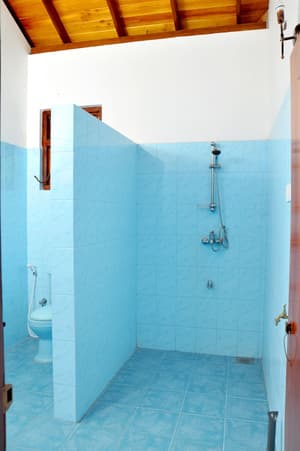 thumbnail: Bathroom shower