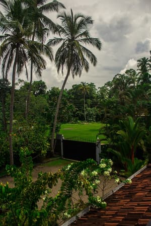 thumbnail: Garden