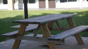 thumbnail: BBQ/picnic area