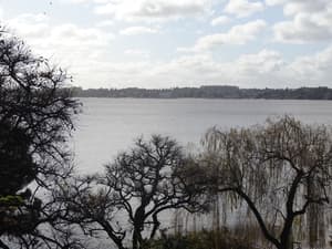 thumbnail: View from property