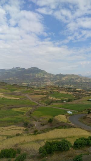 thumbnail: Aerial view