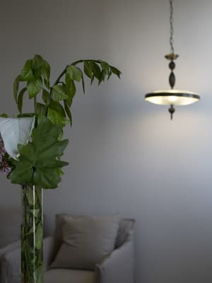 thumbnail: Interior