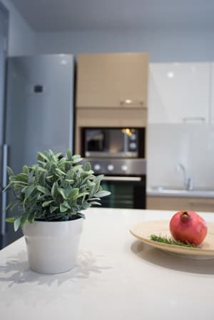 thumbnail: Private kitchen