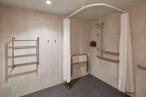 thumbnail: Accessible bathroom