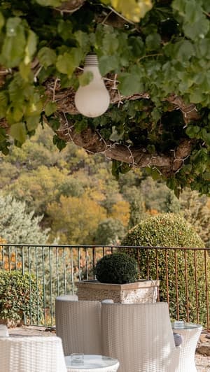 thumbnail: Terrace/patio