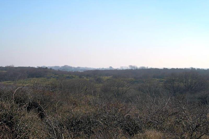 General view