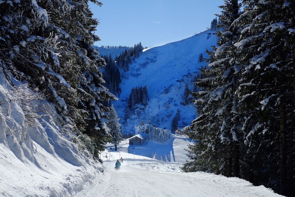 Snow and ski sports