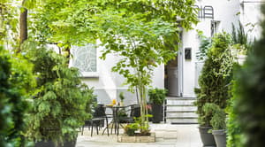 thumbnail: Garden