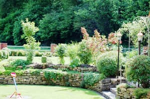 thumbnail: Garden