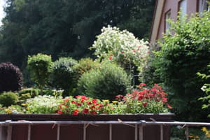 thumbnail: Sundeck