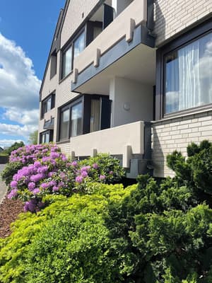 thumbnail: Exterior