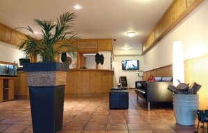 thumbnail: Reception
