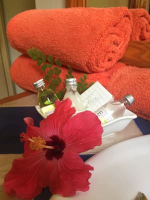 thumbnail: Bathroom amenities