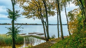 thumbnail: Property grounds