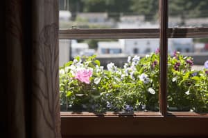 thumbnail: Front of property