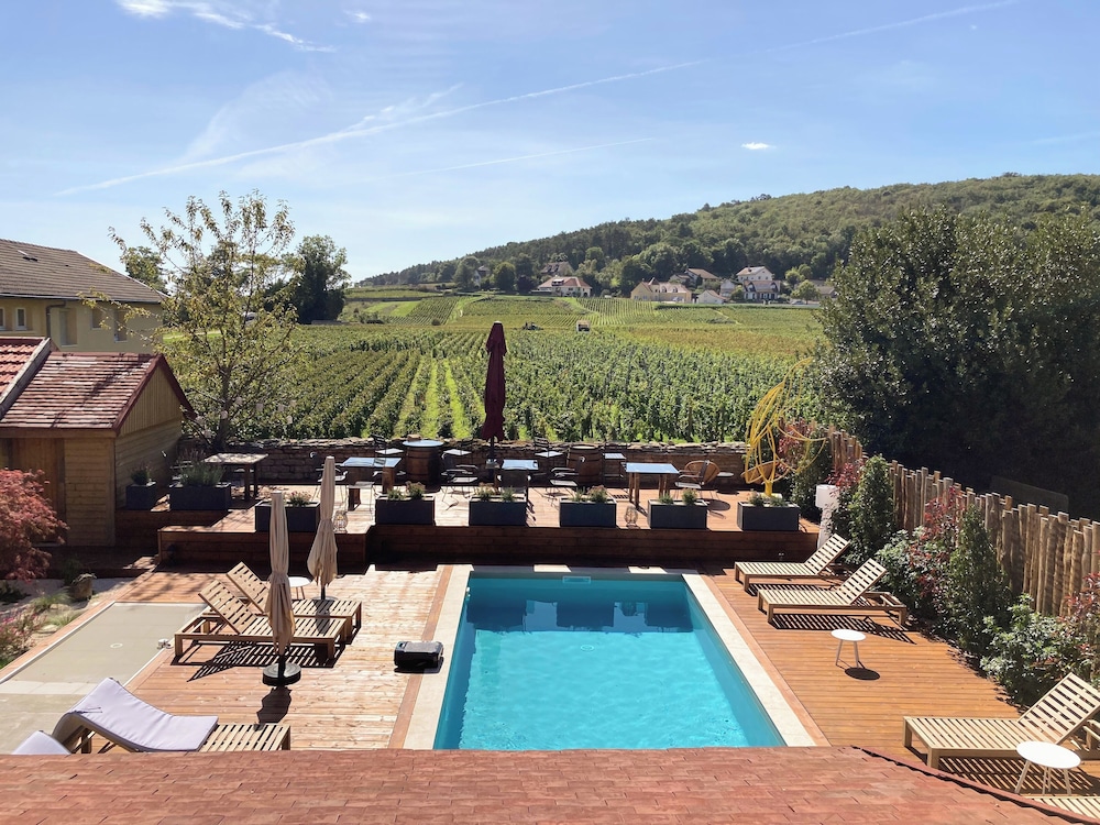 Vineyard view
