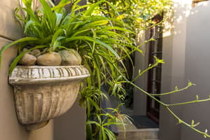 thumbnail: Garden