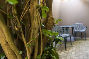 thumbnail: Terrace/patio