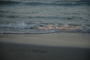 thumbnail: Beach