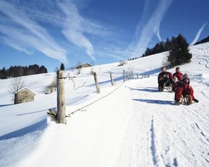 thumbnail: Sledding