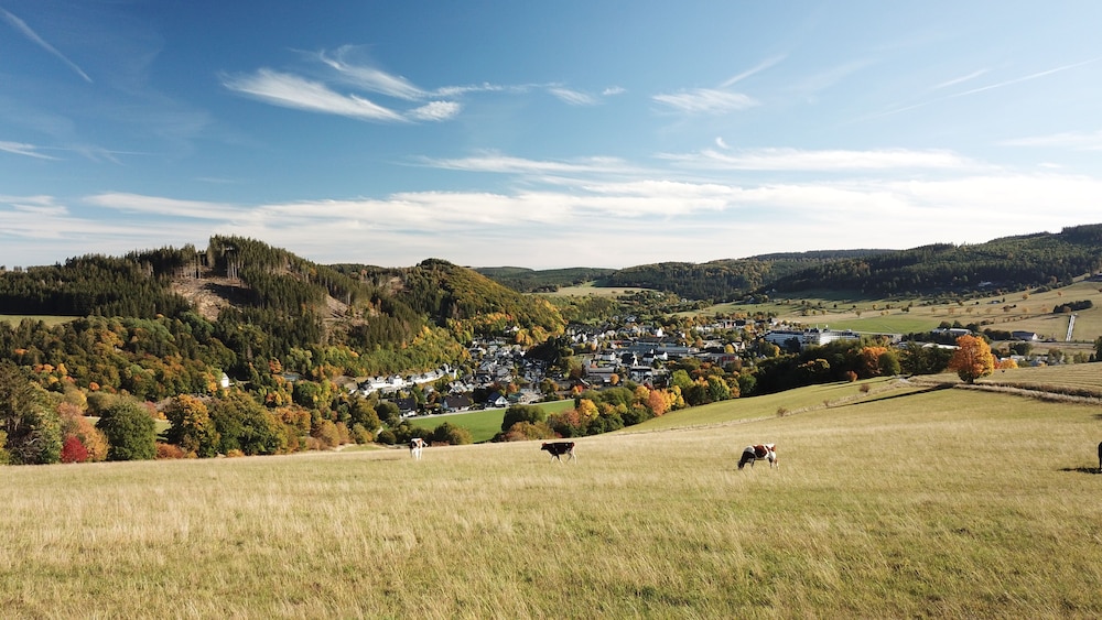 Land view from property