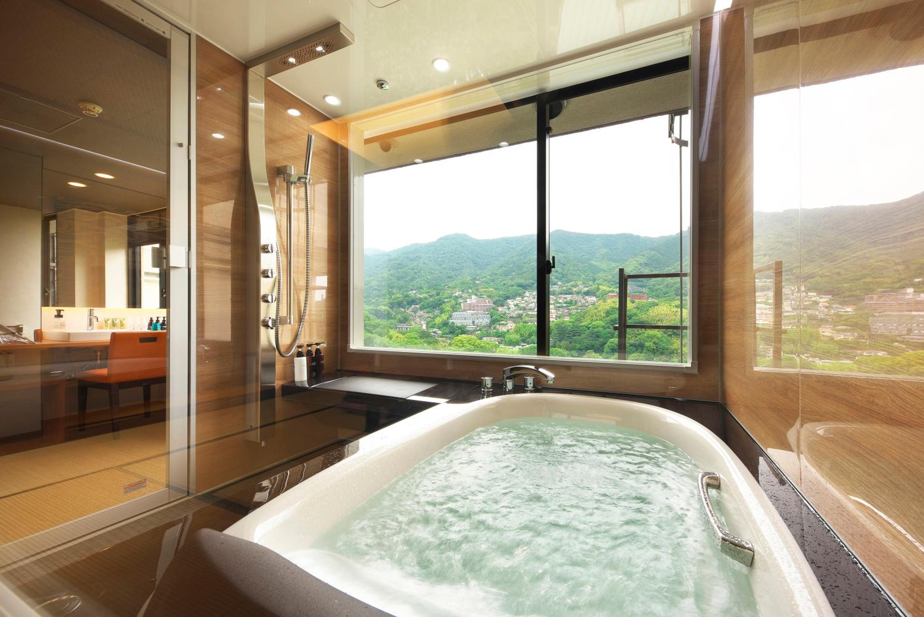 Swimming pool-spa