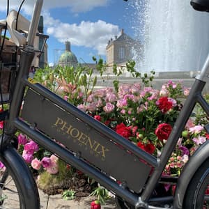 thumbnail: Bicycling