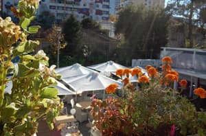 thumbnail: General view