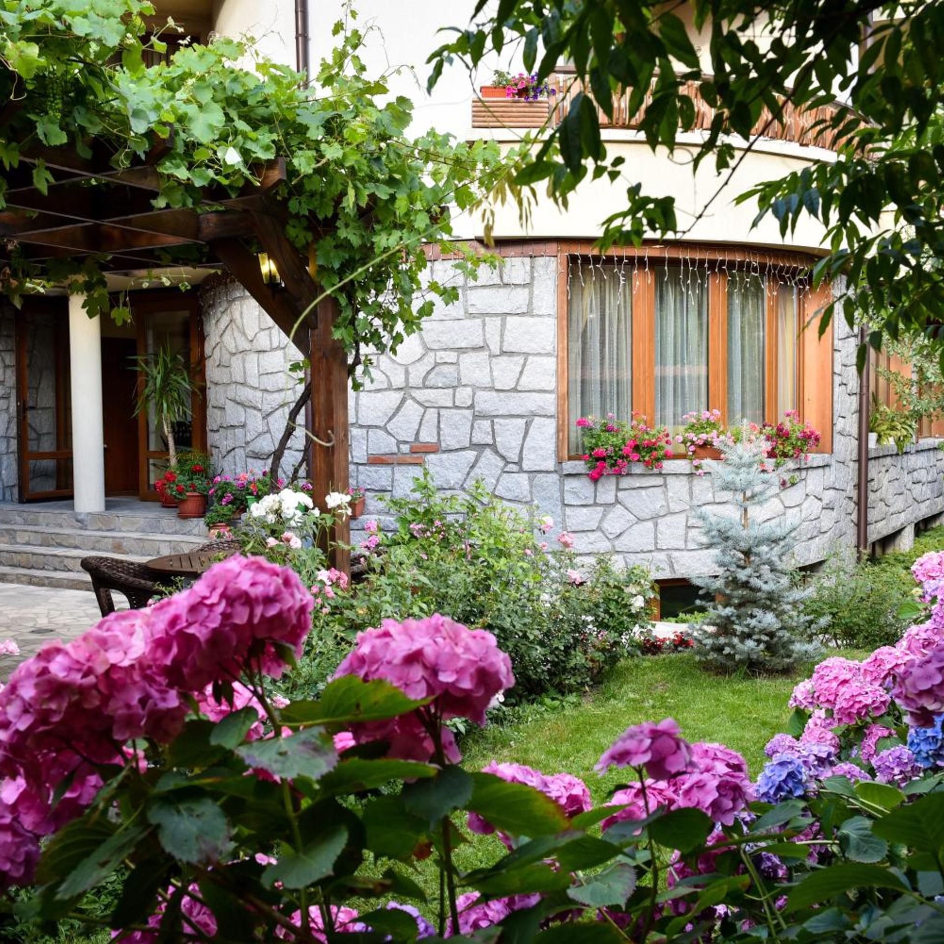 Surroundings
