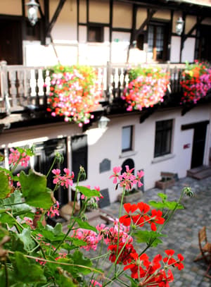 thumbnail: Courtyard