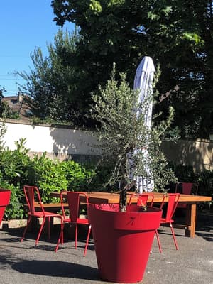 thumbnail: Terrace/patio