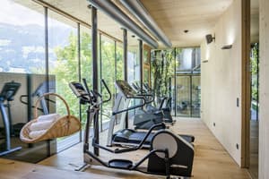 thumbnail: In-room fitness