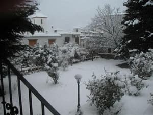 thumbnail: Property grounds