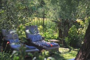 thumbnail: Garden