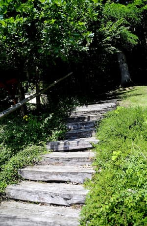 thumbnail: Hiking