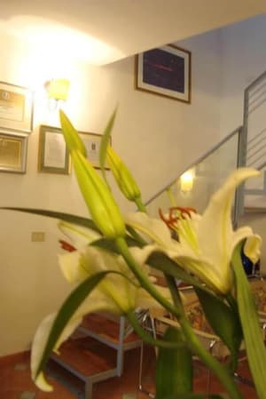 thumbnail: Interior