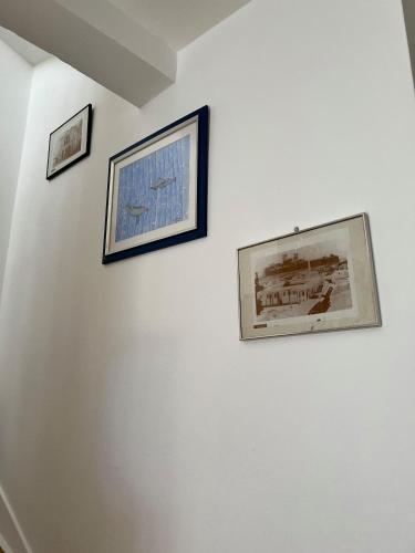 355187384.jpg