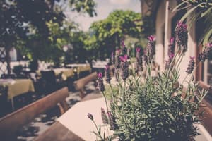 thumbnail: Terrace/patio