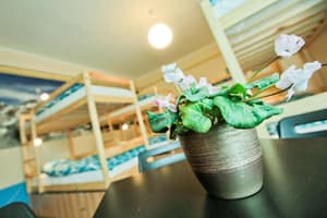 thumbnail: General view