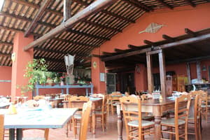 thumbnail: Dining