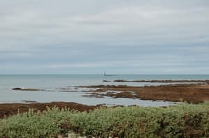 thumbnail: Beach