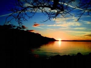 thumbnail: General view