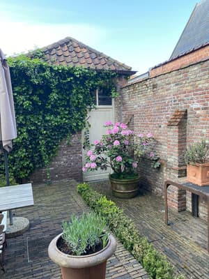 thumbnail: Terrace/patio