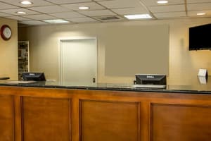thumbnail: Reception
