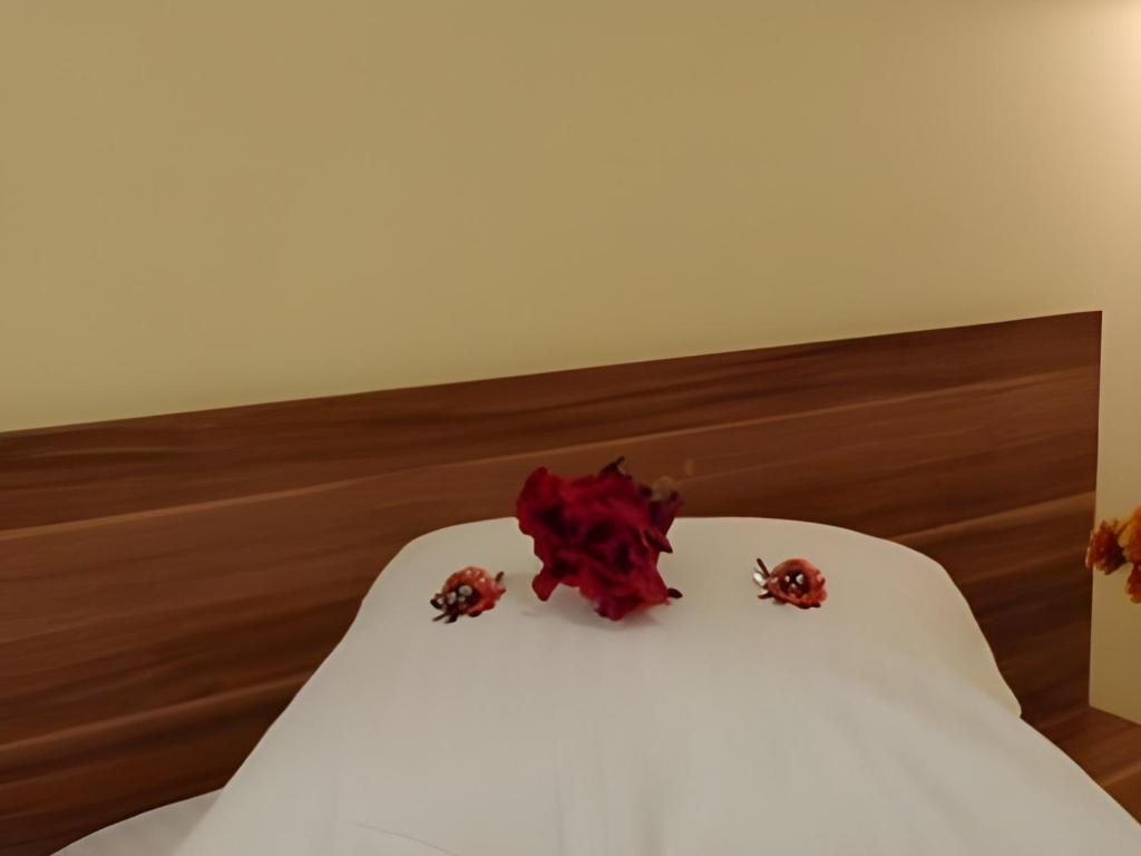 54ef5e9648eba844f6d4edb2b4200f6d.jpeg