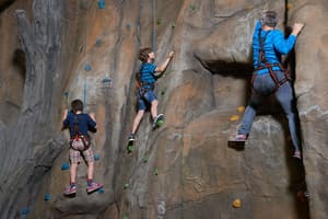 thumbnail: Rock climbing wall - indoor