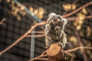 thumbnail: Children's activities
